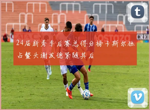 24届新秀季后赛总得分榜卡斯尔独占鳌头谢泼德紧随其后
